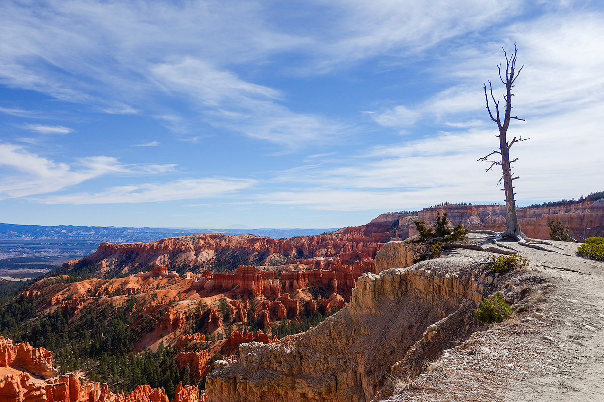 Bryce Canyon NP