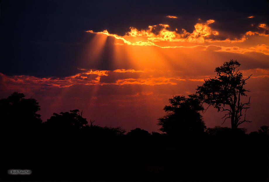 Crepuscular rays form in the cloudy skies at sunset over Mboma island in the Okavango delta