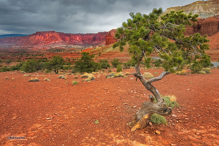 Late afternoon sun on the face of Meeks Mesa, as seen from Panorama Point