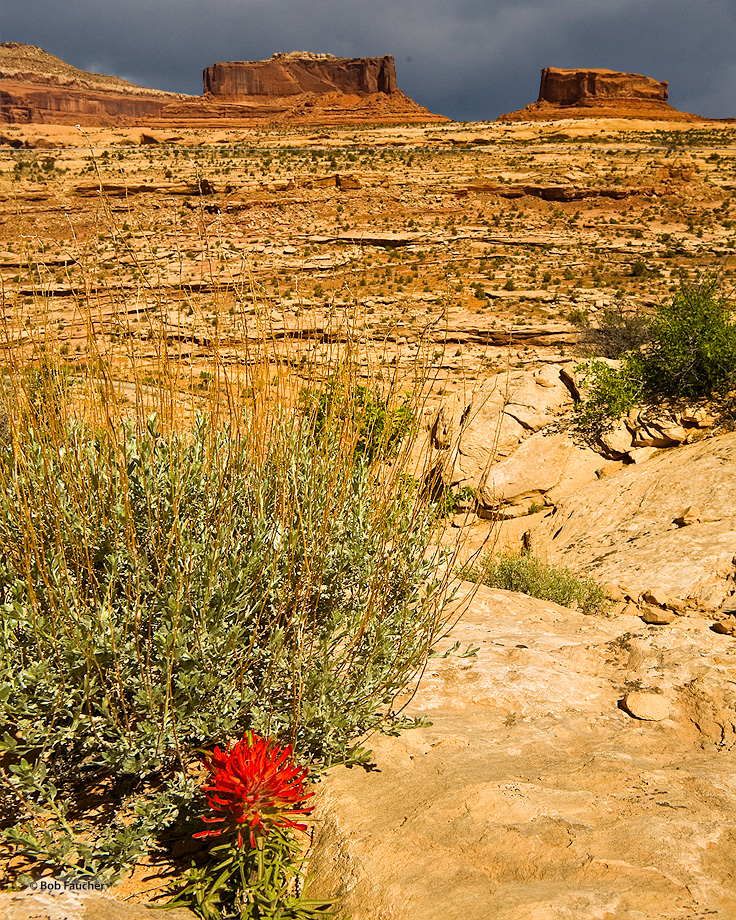 Monitor and Merrimac buttes, named for the Civil War warships, battle the elements forever in the sandstone of Canyonlands.