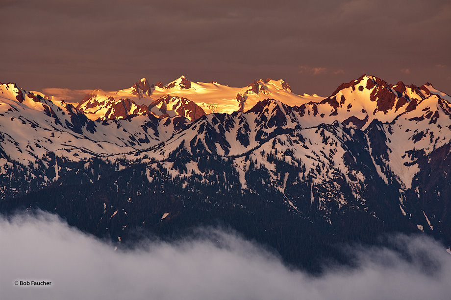 First light of dawn highlights the rugged Olympic mountains while ground fog hangs in the valley below. Olympic NP contains these...