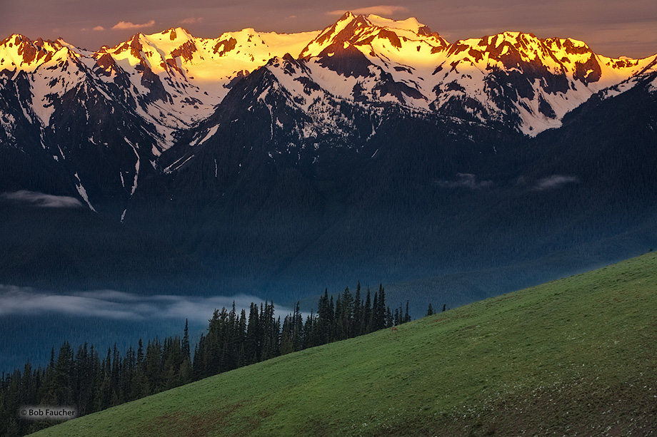 The Olympic Range catches first light as fog lies undisturbed in the Elwha River valley below