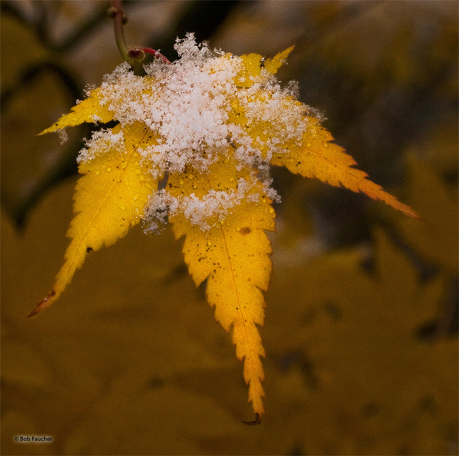 On a cold November Sunday morning snow had just begun to fall as I approached my office. I quickly ran inside, grabbed my clinical...