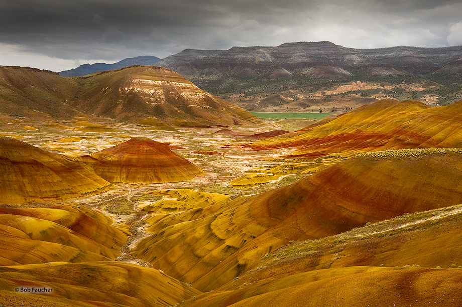 The color-splashed knobs, hummocks and hills of bentonite are the eroded remnants of the John Day Formation. The weathering of...