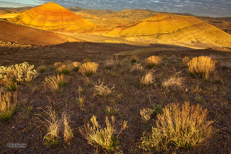 Morning sun highlights the foreground brush and colorful bentonite hills while popcorn clouds move in from the west