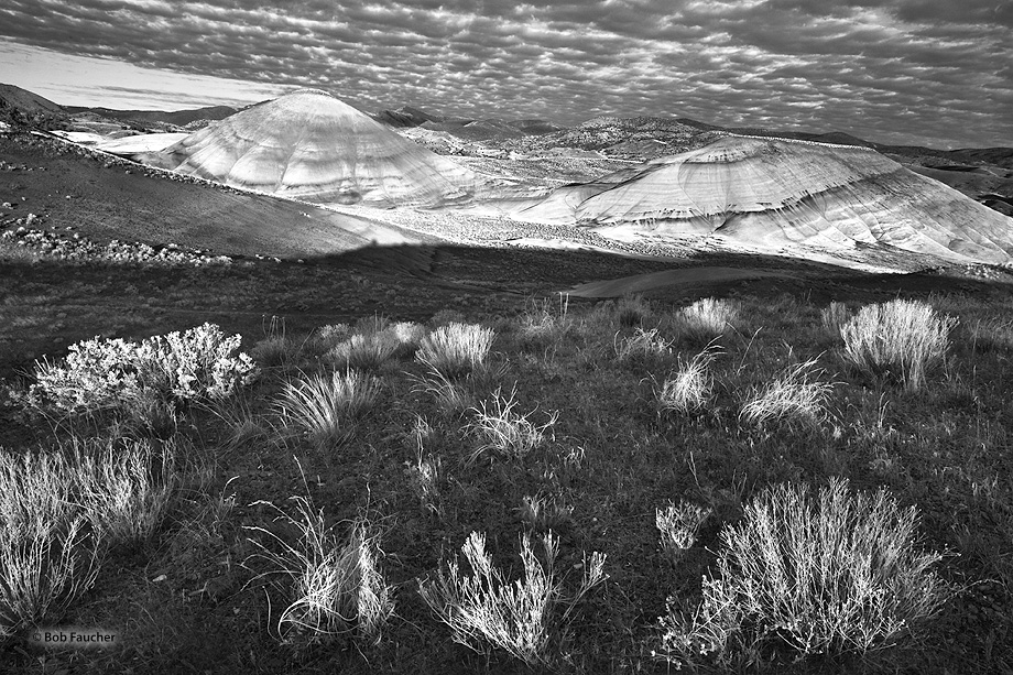 First light illuminates the taller painted hills and taller grasses in the foreground while the back of the hill remains in shadow...