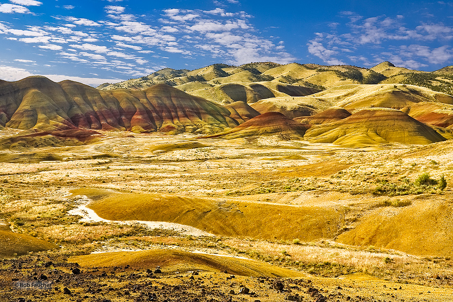 The bentonite hills formed along a valley perimeter with a broad flat floor nearly devoid of vegetation.