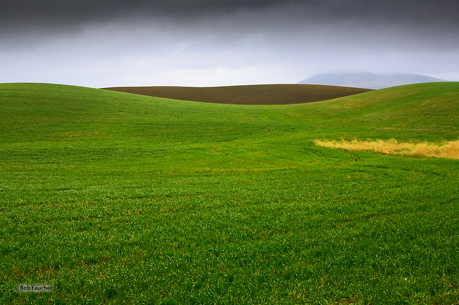 Rolling fields of new wheat and plowed earth under leaden skies following a Spring shower.