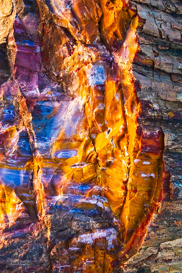 Late afternoon sun perfuses the broken end of a large petrified log revealing the luminous depth of the exposed myriad colors...