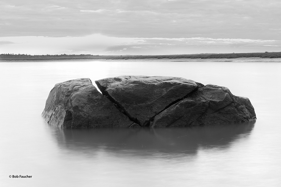 This portion of the Kenai River wetlands is an estuary. The height of the river fluctuates with the tides. This rock can be completely...
