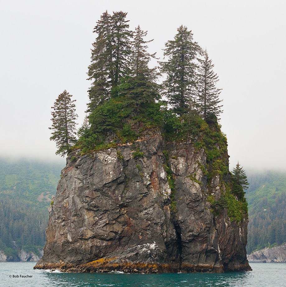 Porcupine Cove has numerous sea stacks within it which give it the name