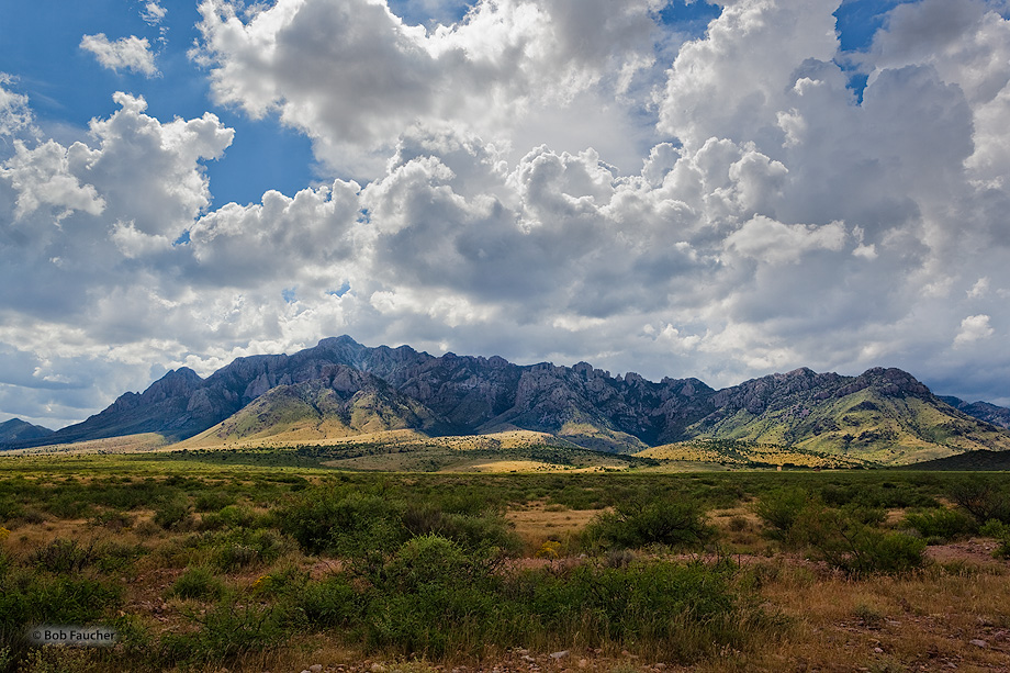 The Chiricahua Mountains massif is a large mountain range in southeastern Arizona which is part of the Basin and Range province...