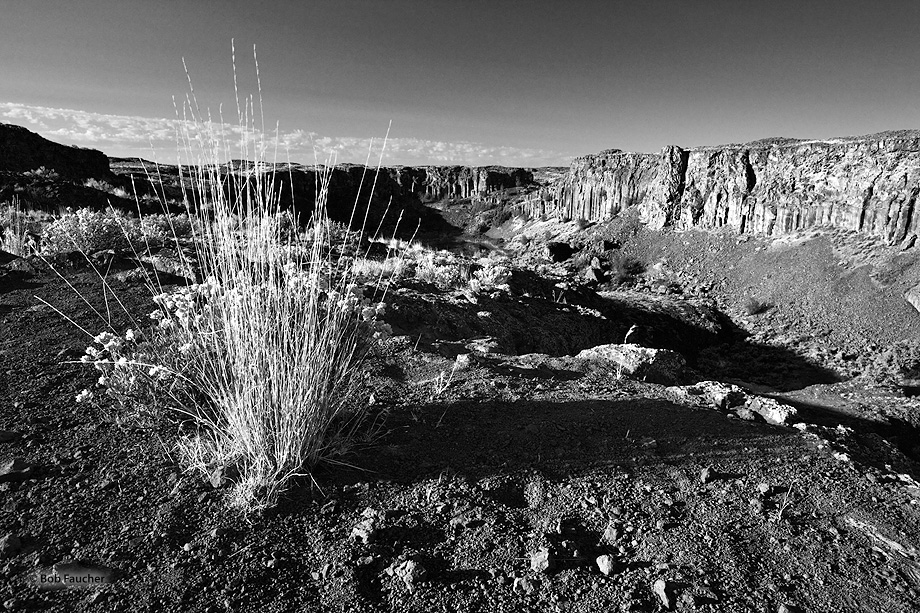 The basalt walls of the coulee reflect the early morning light