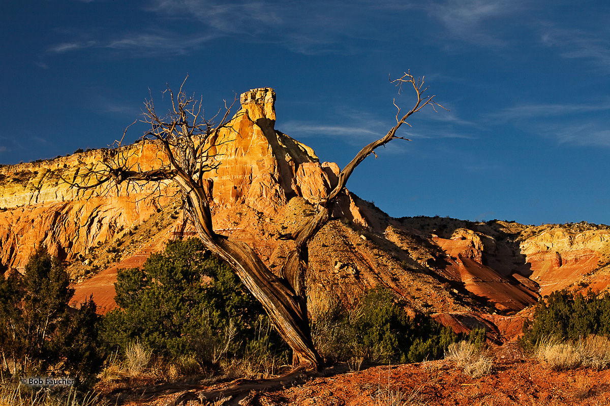 Late afternoon sun reflects off the face of Chimney Rock, framed by a forked juniper snag on Ghost Ranch.