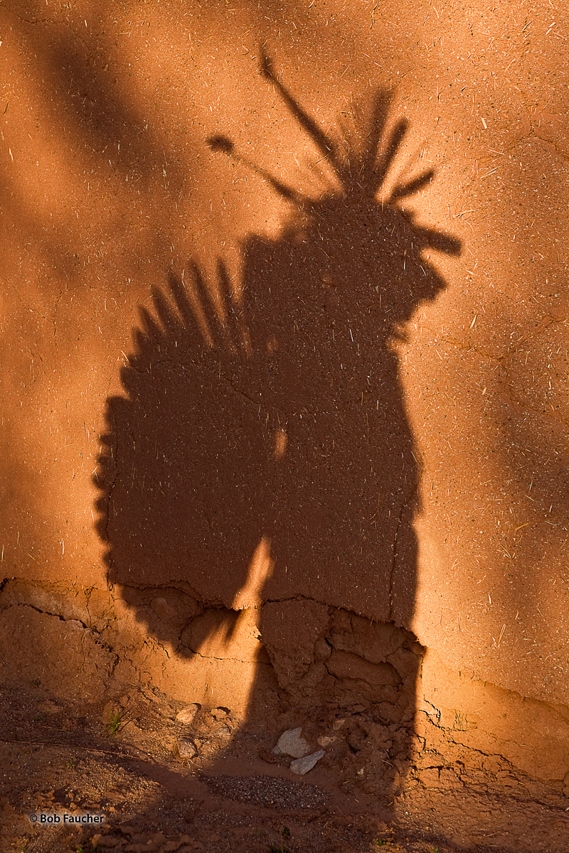 As I was speaking with a native dancer who was taking a break between performances I noticed his shadow. Low-angle, afternoon...