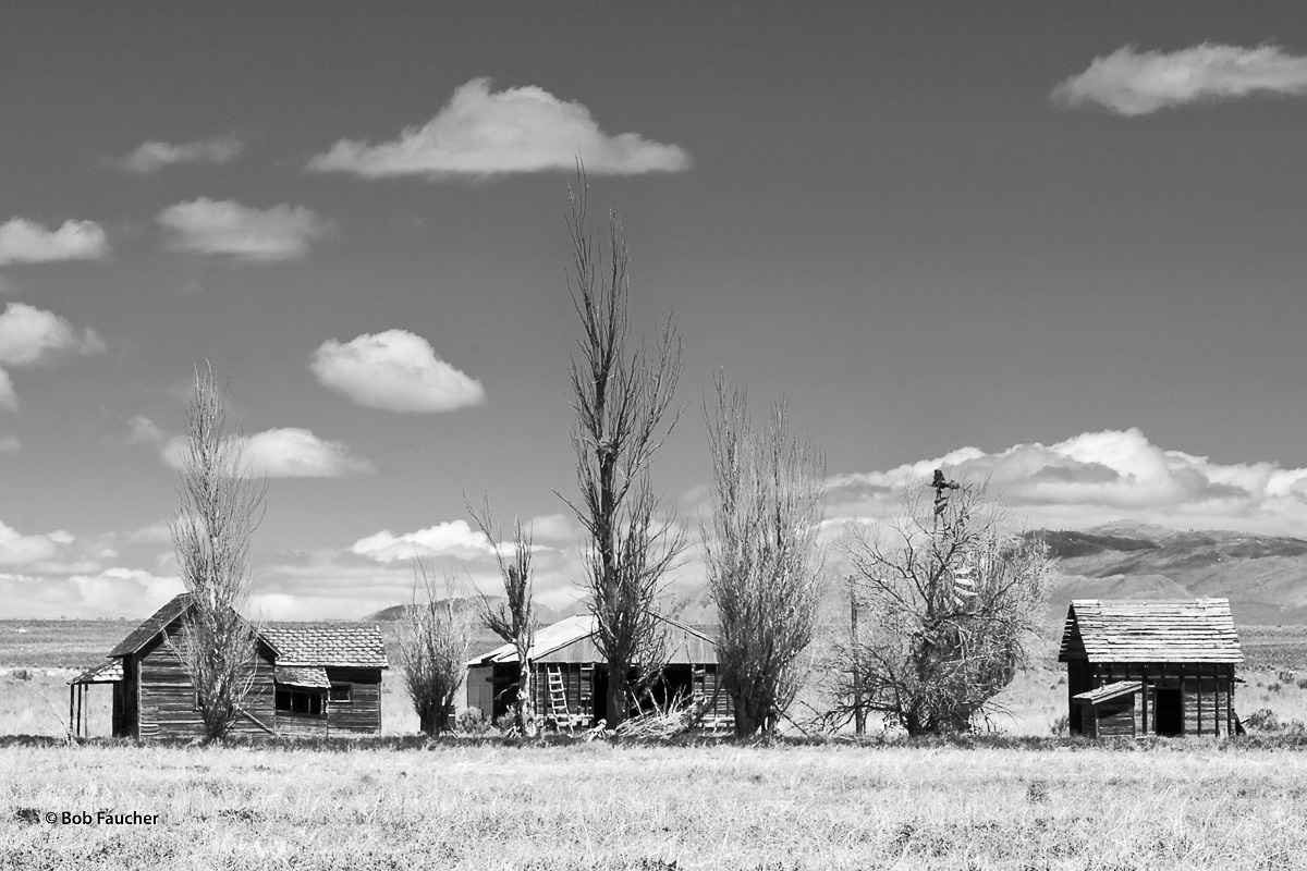 Row of derelict buildings showing various stages of disrepair in Clark Valley, Utah