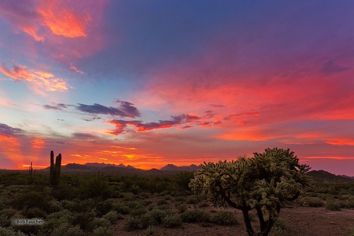 The setting sun casts crepuscular rays skyward lighting up the clouds and cacti