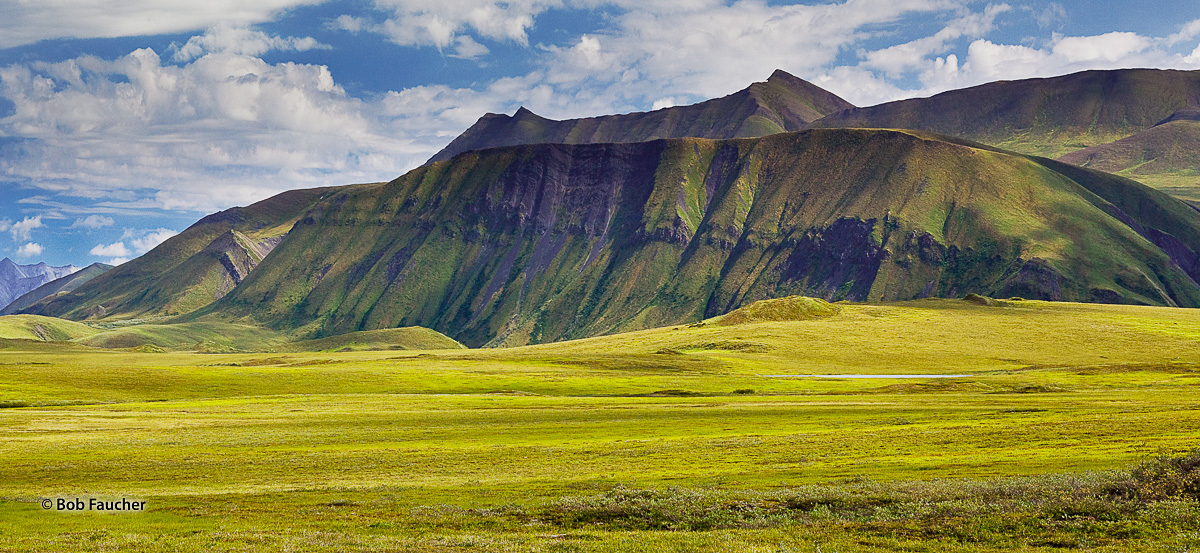 The Phillip Smith Mountains are a subdivision of the Brooks Range. The southern Arctic Foothills, below the Antigun Gorge, flank...