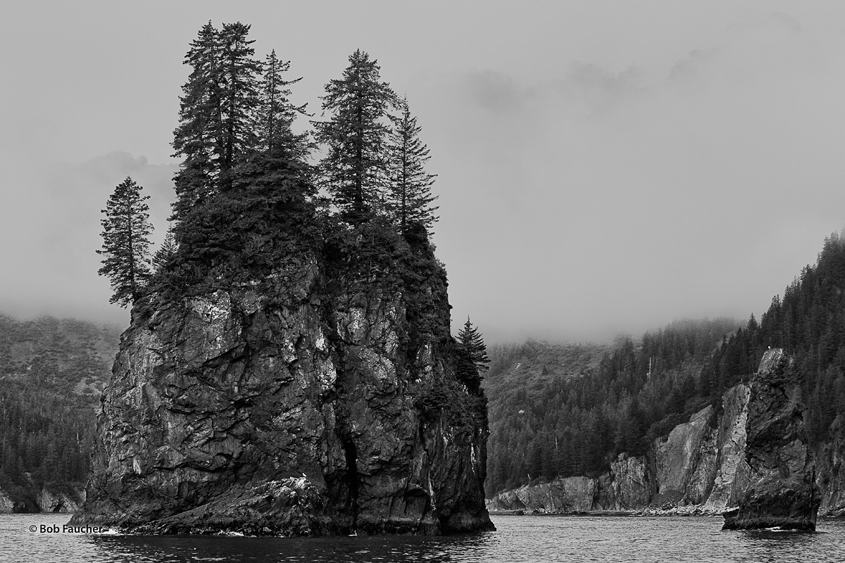 The mountains surrounding Porcupine Cove are shrouded in fog. The fog helps to put the bacground in recession, allowing one of...