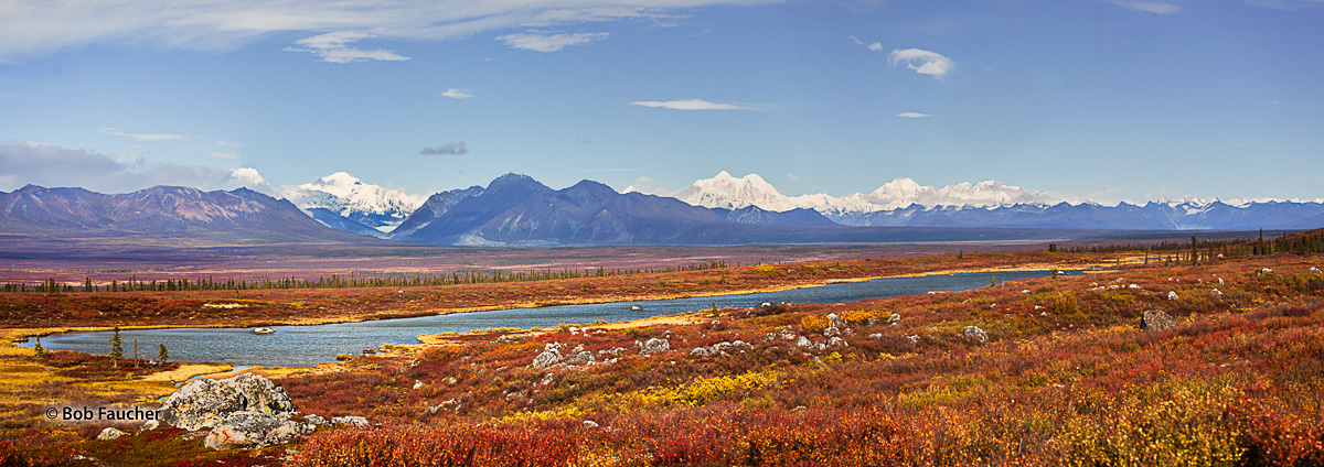 The view of the Alaska Range across Monahan Flat, from Milepost 103 on the Old Denali Highway, in the Fall. Denali is the peak...