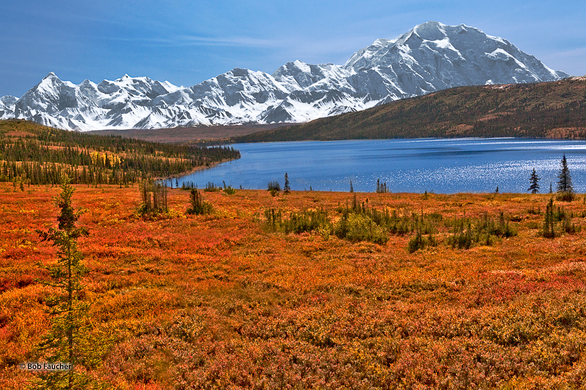 Taiga with muskeg in Fall color surrounds Wonder Lake with Mount Denali looming high above