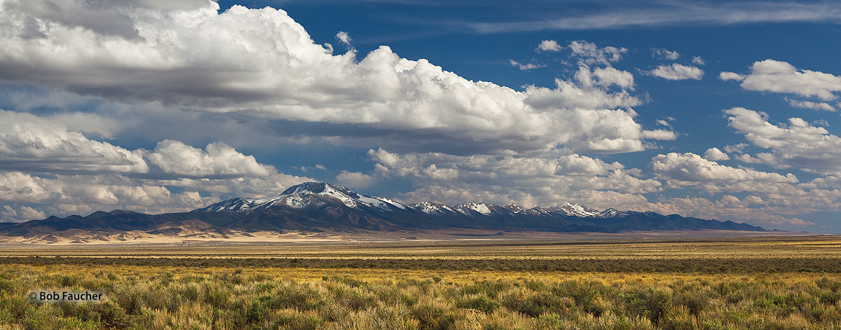 The Schell Creek Range is a linear mountain range, extending approximately 132 miles in a north-south direction in central White...