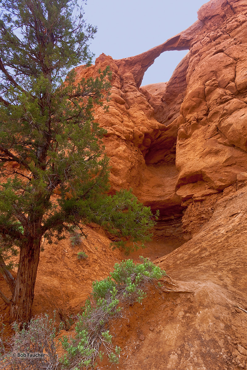 Shakespeare Arch is the only natural arch in the park. The span has formed at the top of a line of cliffs, across a nearly vertical...