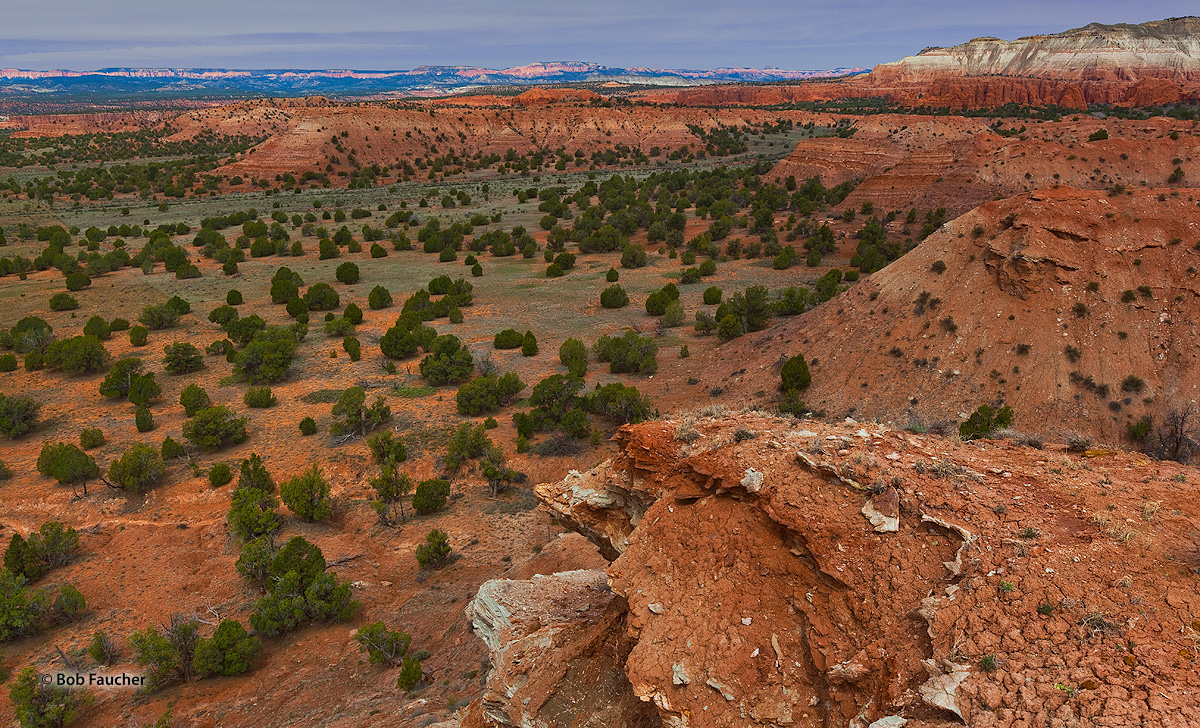 Angel's Palace Trail affords magnificent views of Kodachrome Basin, Bryce Canyon—the characteristic Pink Cliffs are seen along...