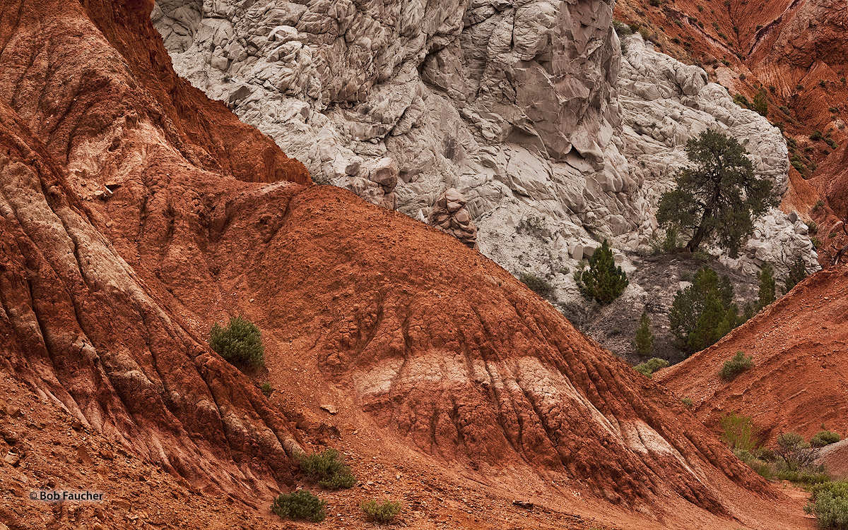 Colorful Carmel and Entrada Formations opposed in the Cockscomb along the Cottonwood Canyon. Along this particular stretch of...