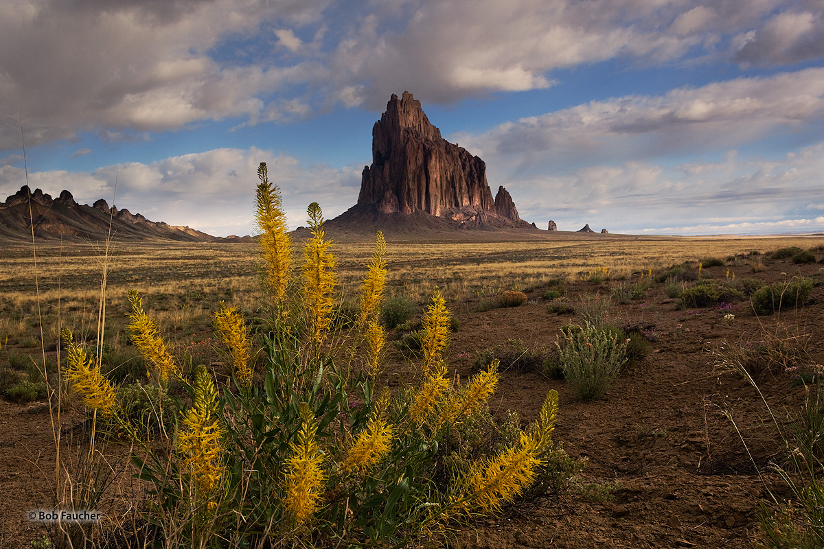 Shiprock, a diatremic monadnock, rises abruptly from the virtually level surrounding plain. Located within the Navajo volcanic...