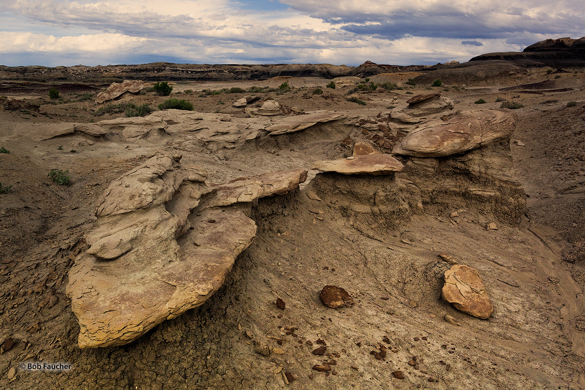 Bisti Badlands is an amazingly scenic and colorful expanse of undulating mounds and unusual eroded rocks covering 4,000 acres...