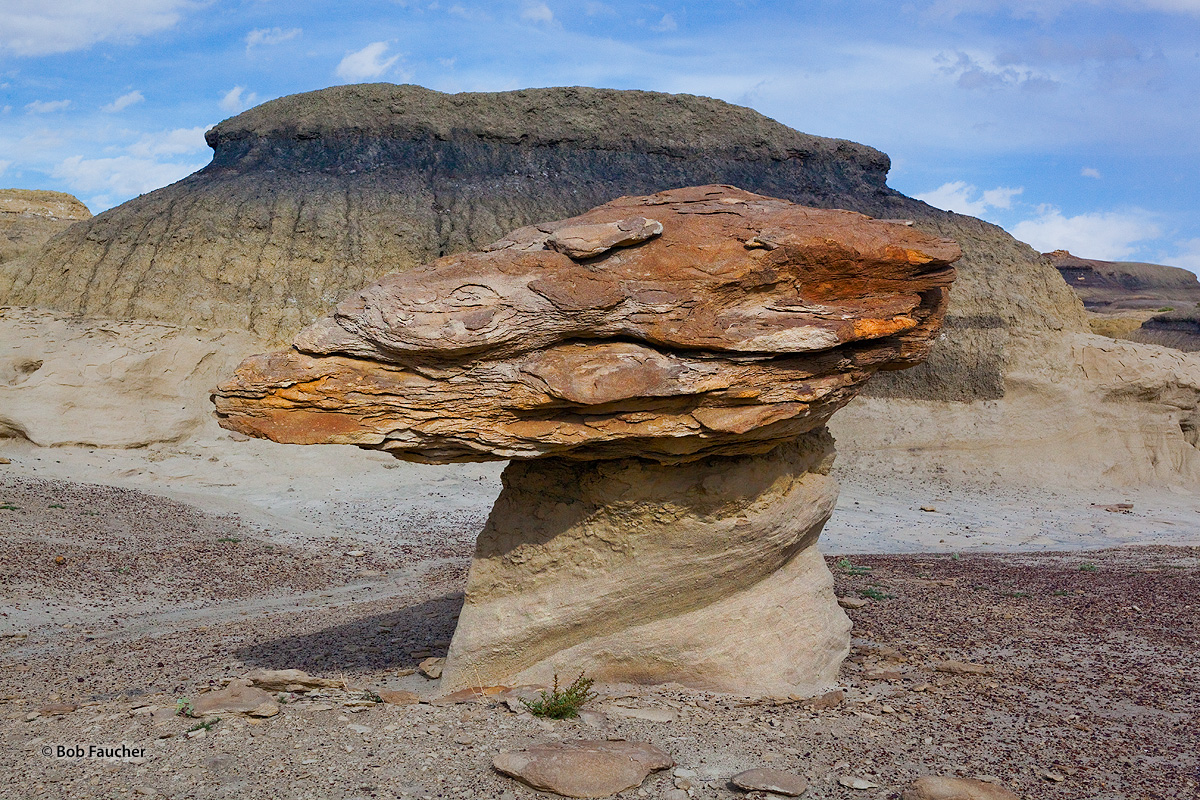 Bisti Badlands is an amazingly scenic and colorful expanse of undulating mounds and unusual eroded rocks covering 4,000 acres...