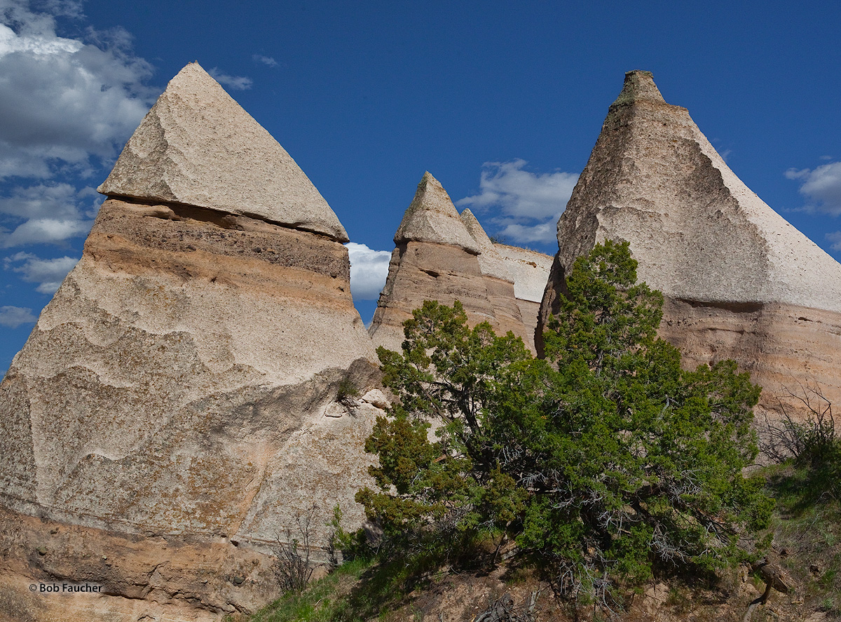 A small village of tent rocks encountered along the canyon trail in Kasha-Kituwe Tent Rocks NM