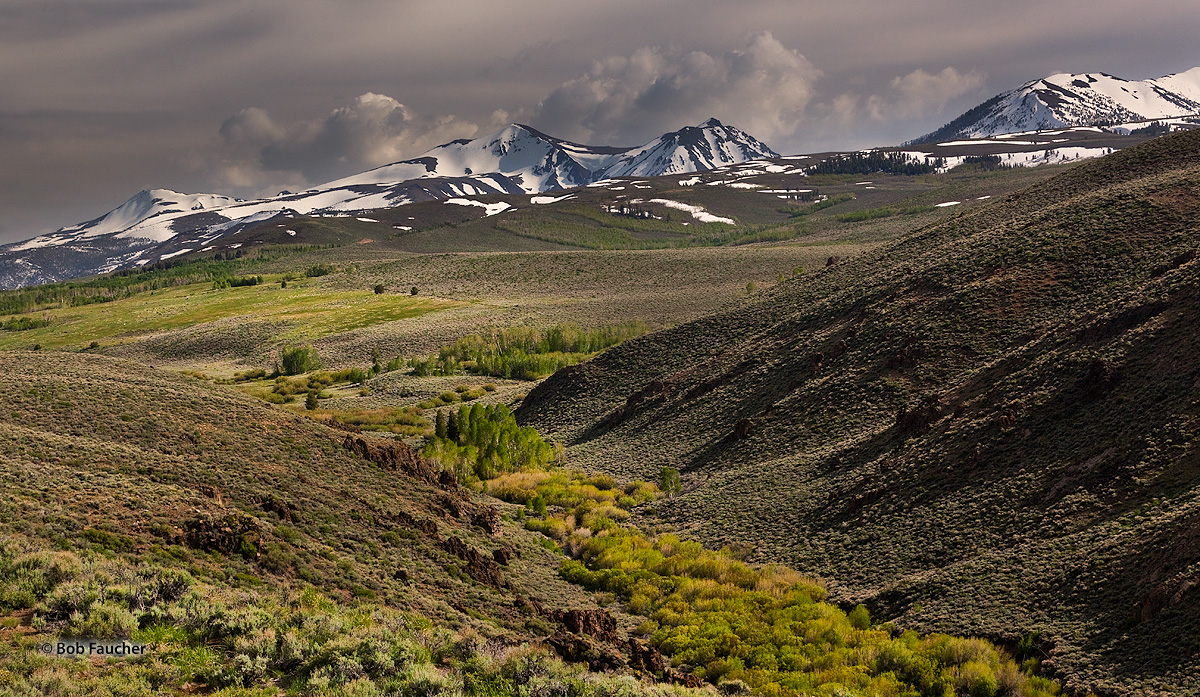 Near Conway Summit, just South of Bridgeport, Green Creek flows below Eagle Peak, Twin Peaks and Whorl Mountain, through the...