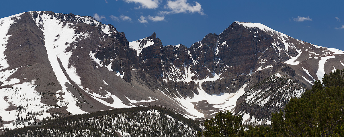 Wheeler Peak, standing at over 13,000 feet, provides classic examples of the erosional forces of glaciation. Ice pried, plucked...