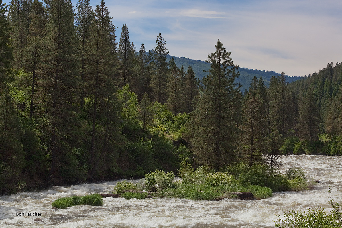 Heavy Spring runoff in the watershed of the North Fork Payette River results in a very high and fast-flowing river. The river...