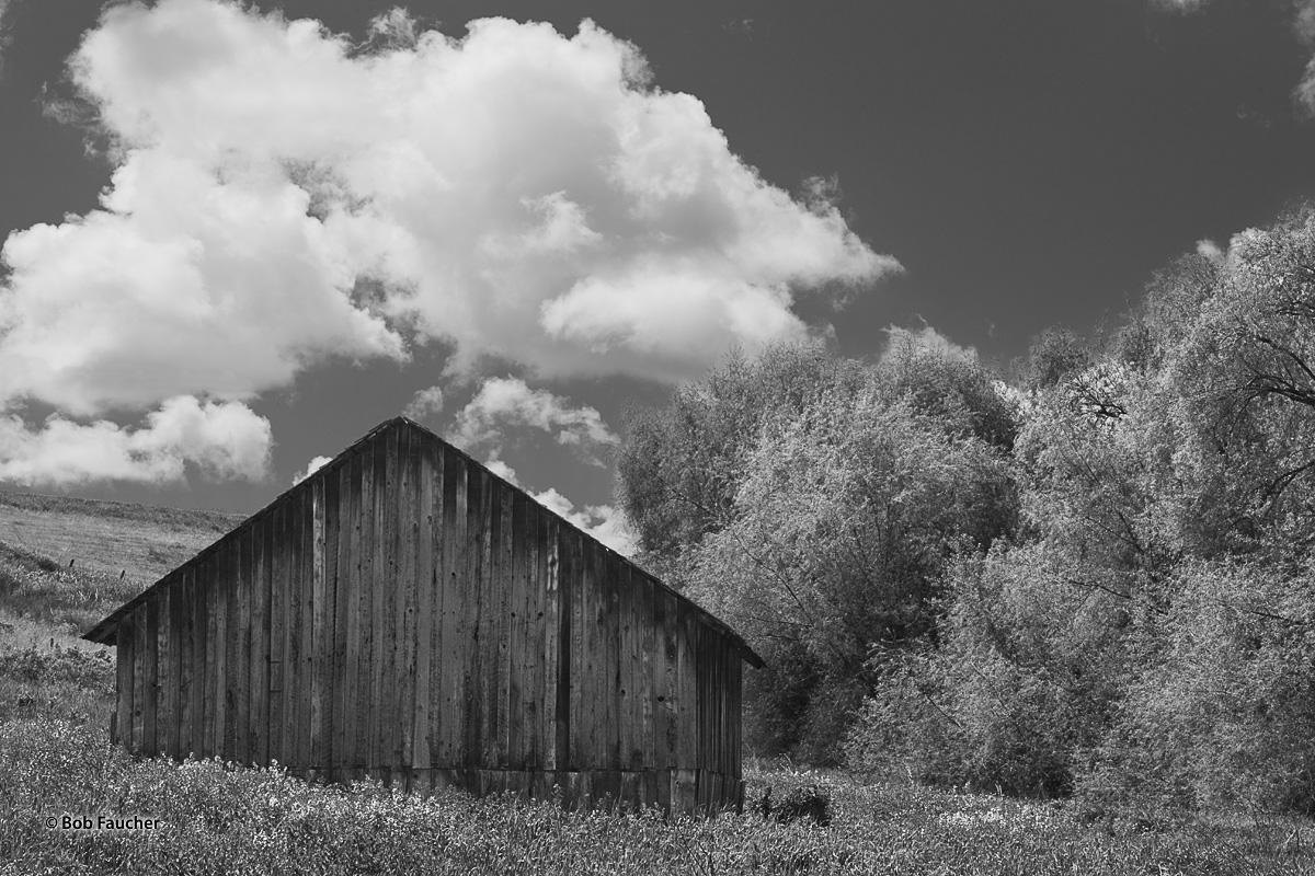 I encountered this derelict building near Craigmont, Idaho. It is far from being in as bad shape as some of my other derelict...