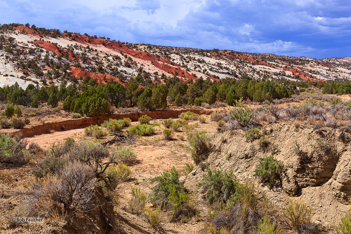 This portion of Cottonwood Canyon exemplifies the characteristic alternating red-white stripes that have earned it the nickname...