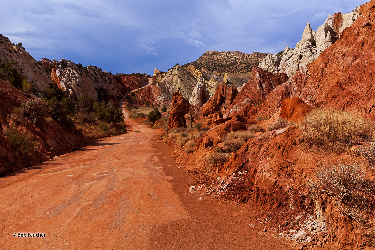 The most spectacularly photogenic area along the Cottonwood Canyon Road. Often referred to as Candyland due to its white and...