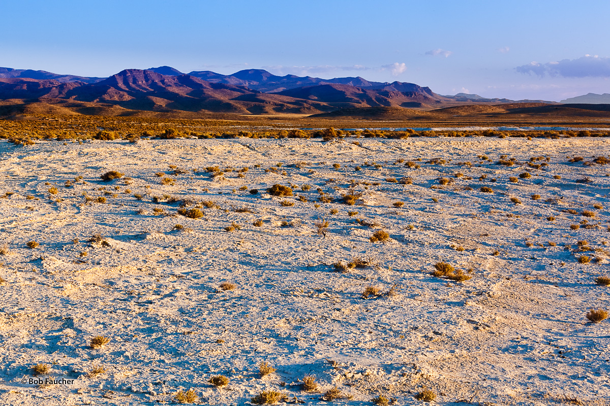 The rising sun over the Wah Wah Valley gives a warm glow to the limestone and vegetation