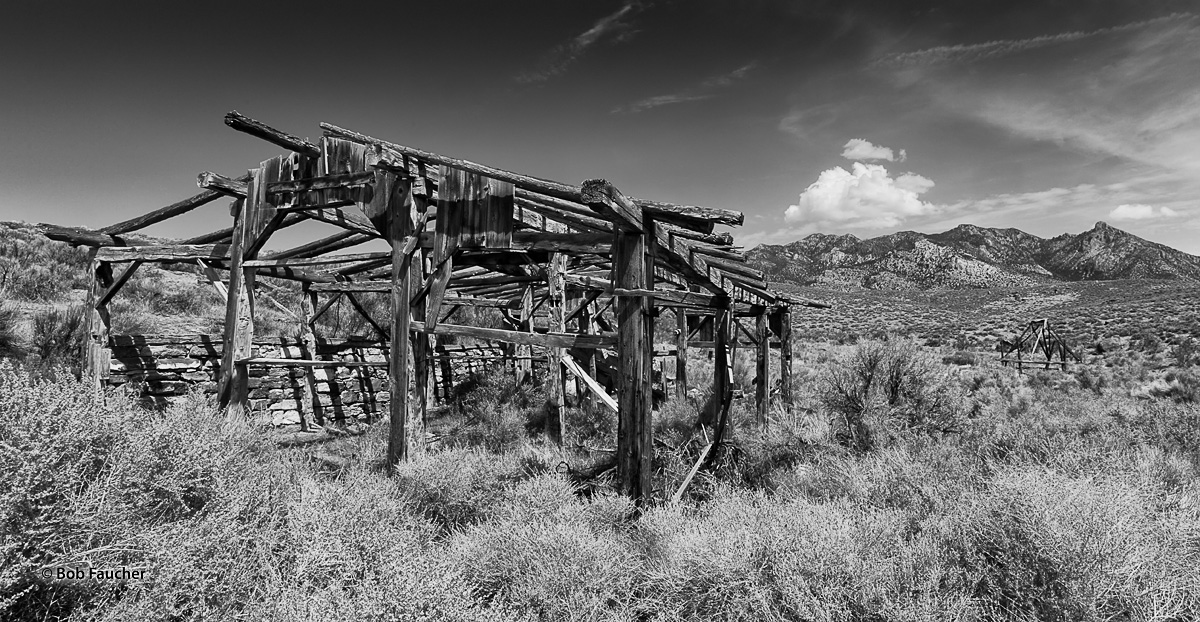 The collapsing remains of an old barn and a second, smaller structure are slowly being engulfed by vegetation in Big Springs...