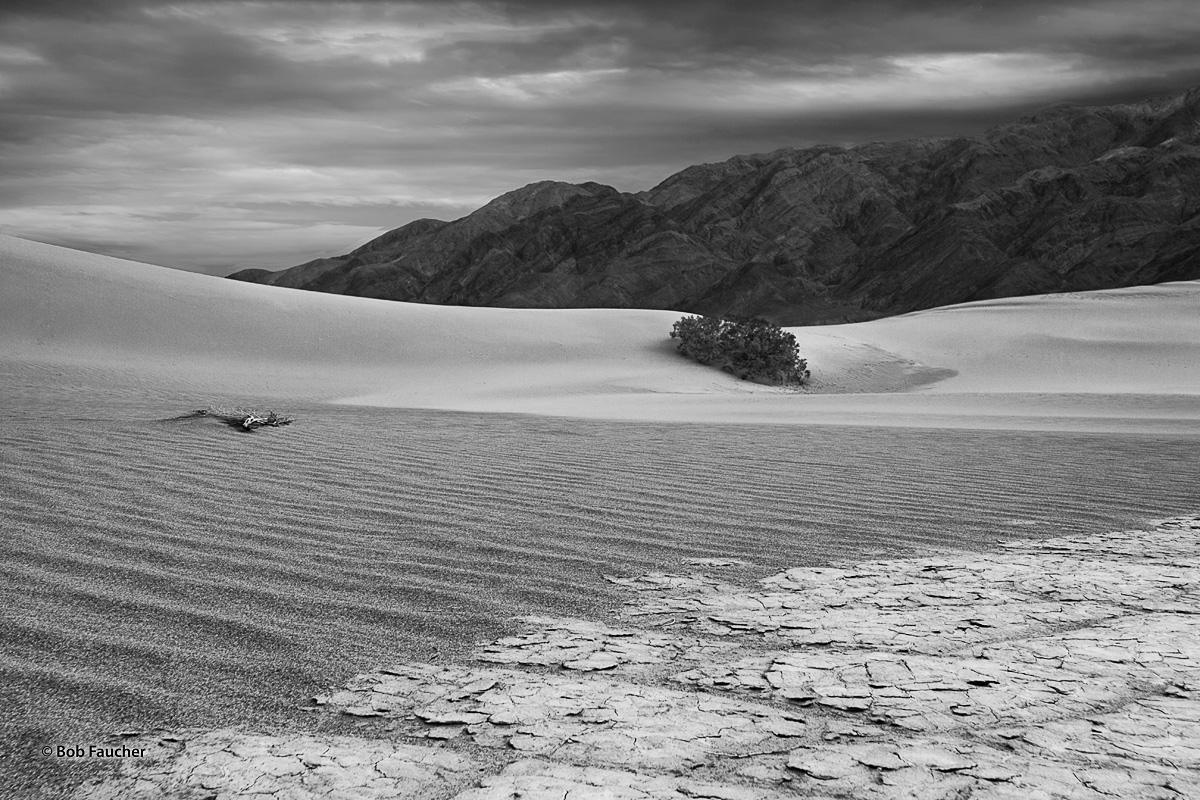 Sand dunes, with and without finer wind-blown patterns, juxtaposed with cracked playa, rocks, live and dead vegetation and clouds...