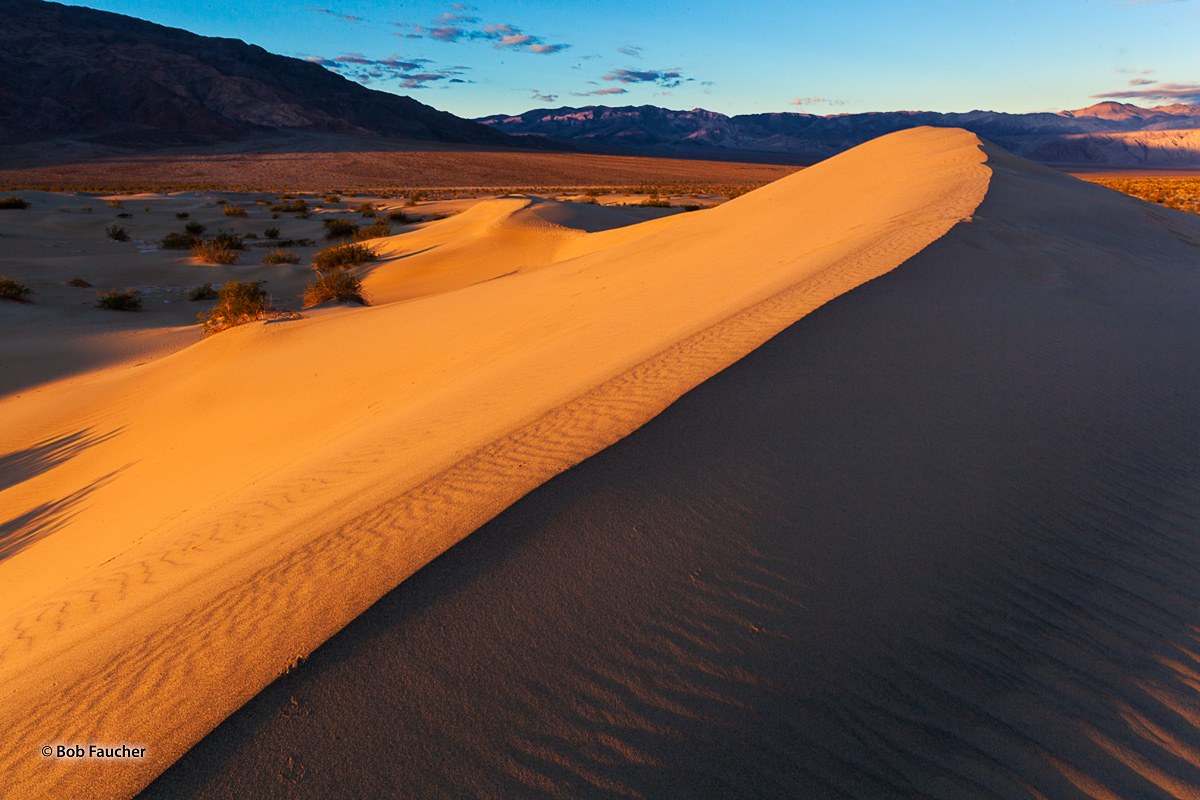 Early morning sun strikes the slipface (the side of a dune without wind) of a dune in Mesquite Falt Sand Dunes in Death Valley...
