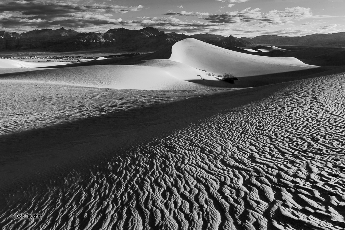 Sunrise's low-angle light plays on the surfaces of the Mesquite Flat sand dunes emphasizing the forms and textures of the dunes...