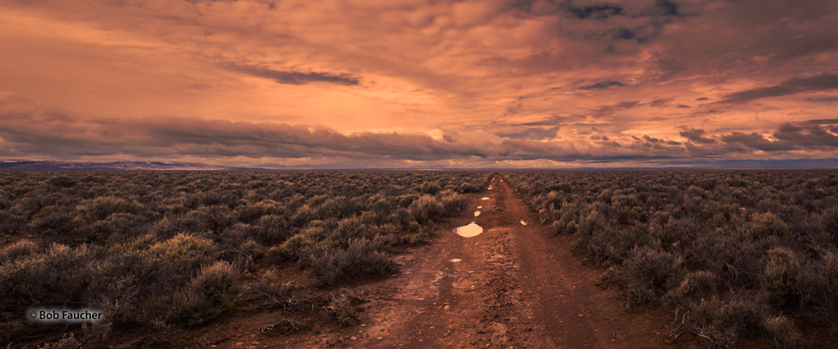 Flook Lake Road intersects with Rock Creek Road in Catlow Valley, perfect habitat for Pronghorn, between Hart Mountain and Steens...