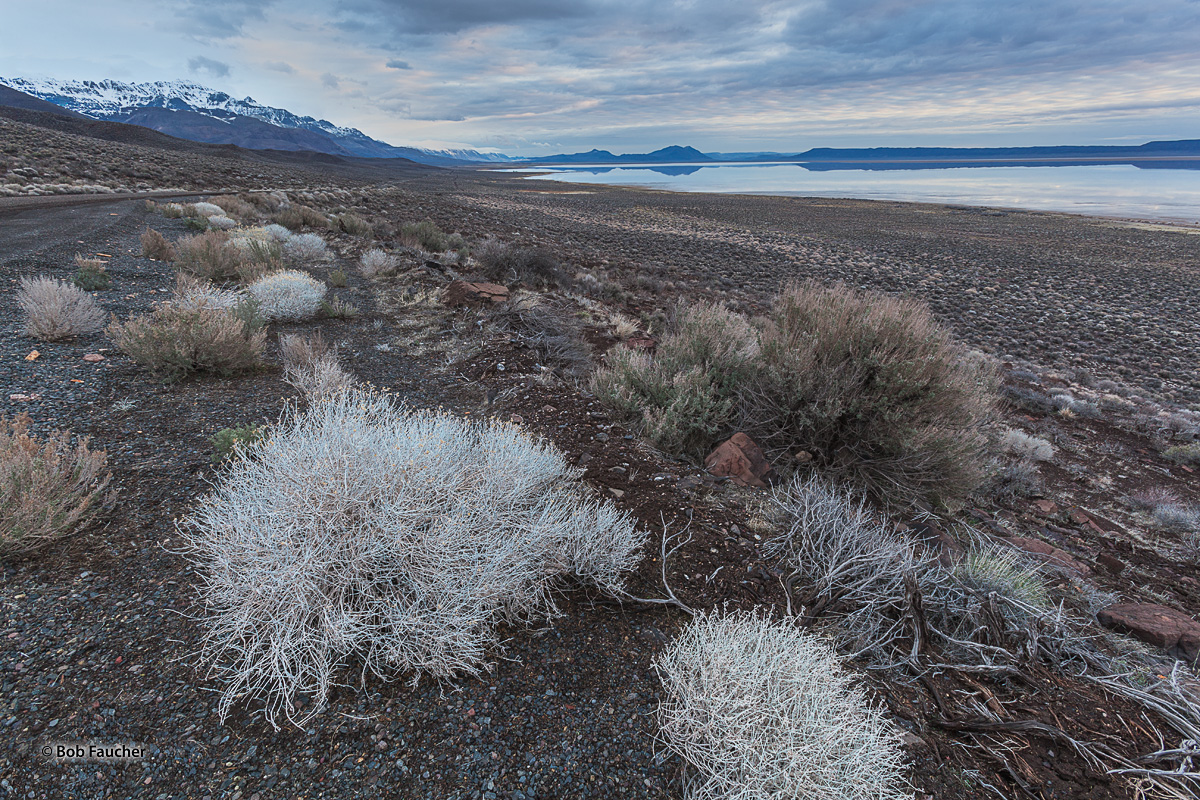 Alvord Lake, in the Alvord Desert, lies below Steens Mountain