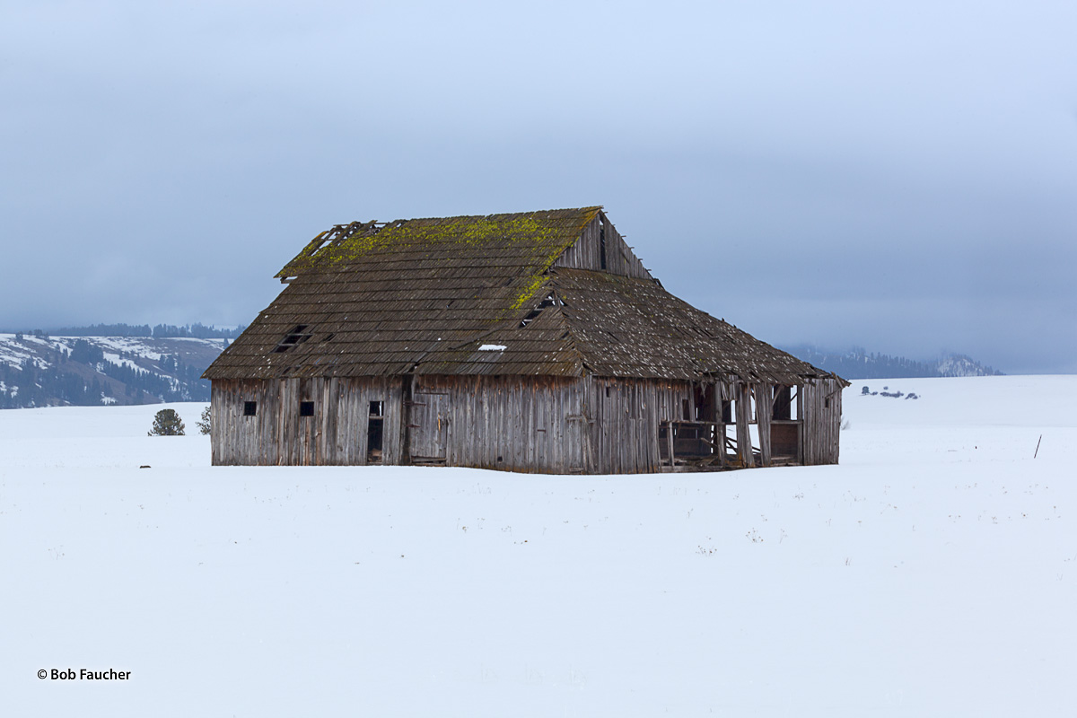 An old barn, surrounded by snow, has not had visitors for a very long time