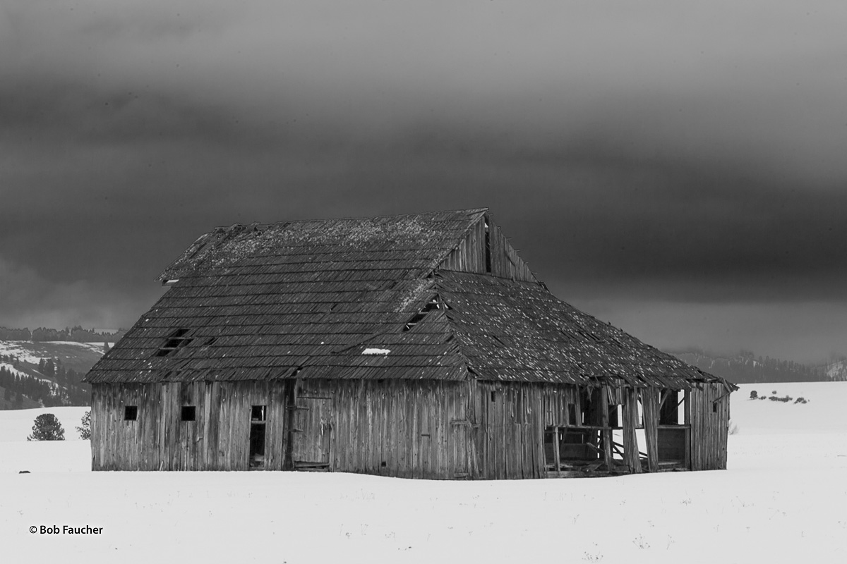 An old barn, surrounded by snow, has not had visitors for a very long time