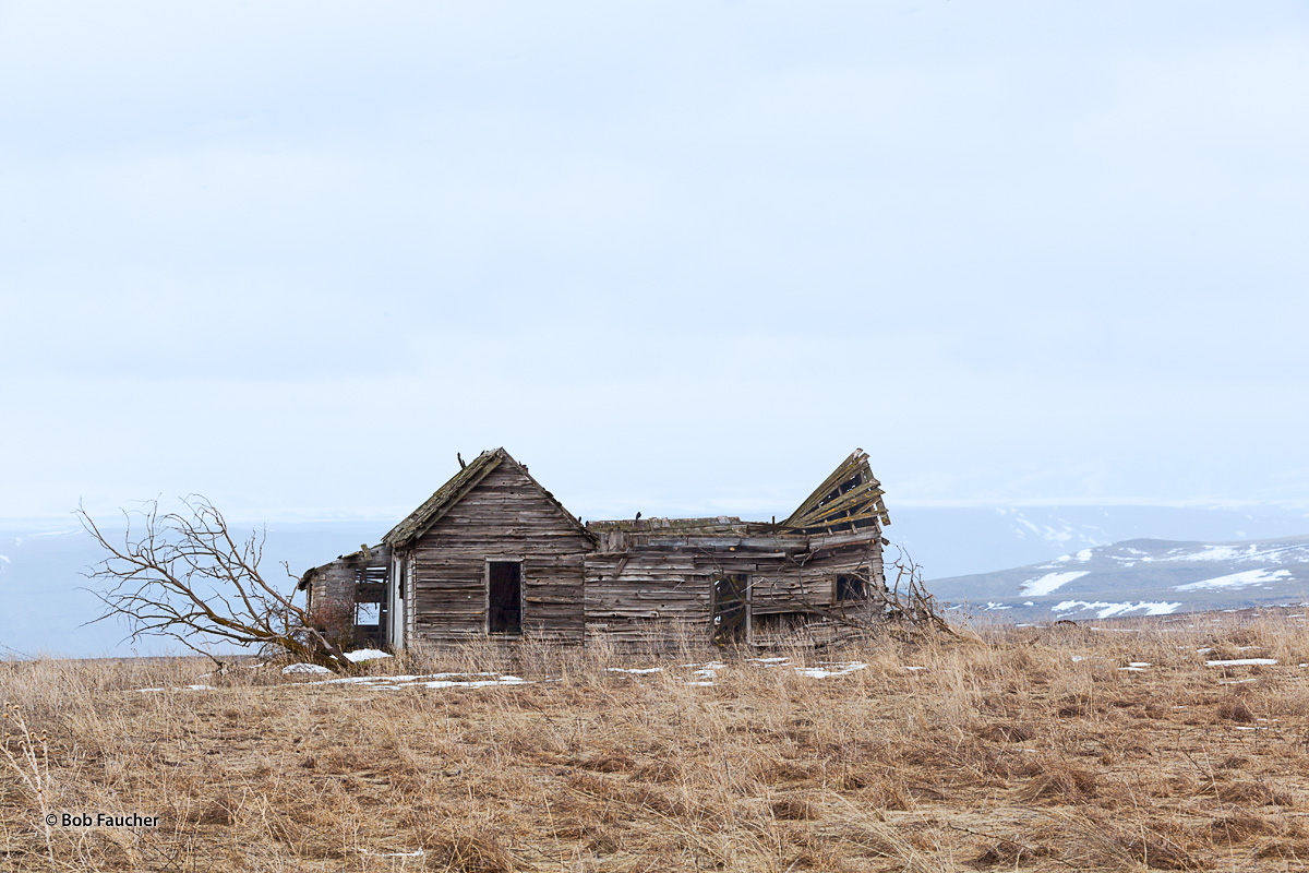 A collapsing, abandoned home stands in a field near Anatone, Washington