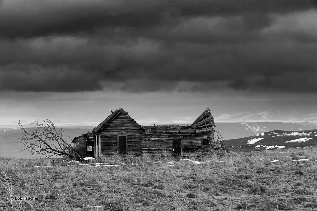 A collapsing, abandoned home stands in a field near Anatone, Washington.